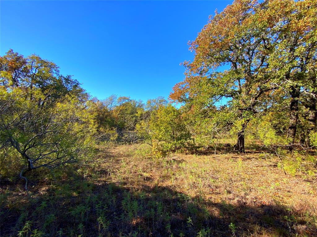 Quail Ridge - Farm