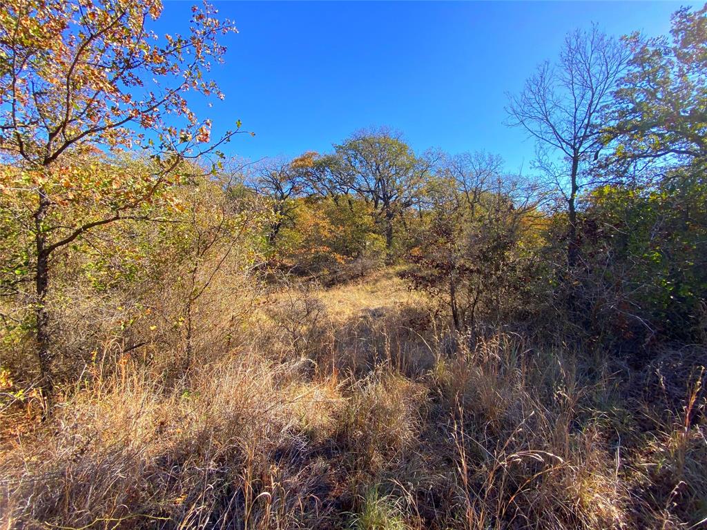 Quail Ridge - Farm