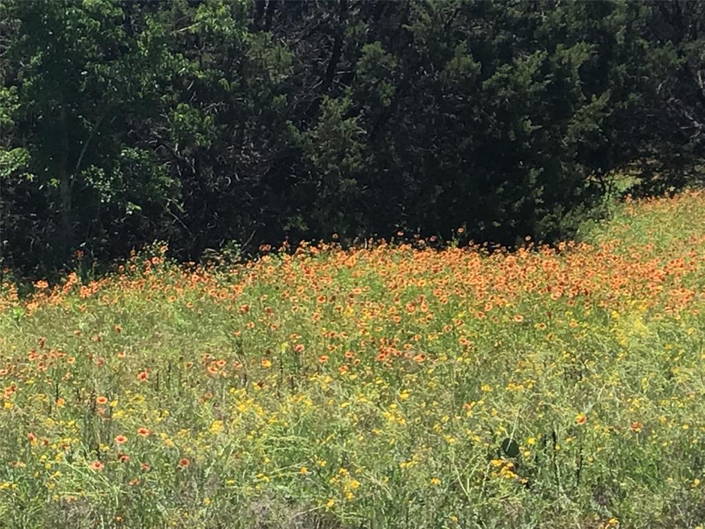 White Bluff #10 - Land