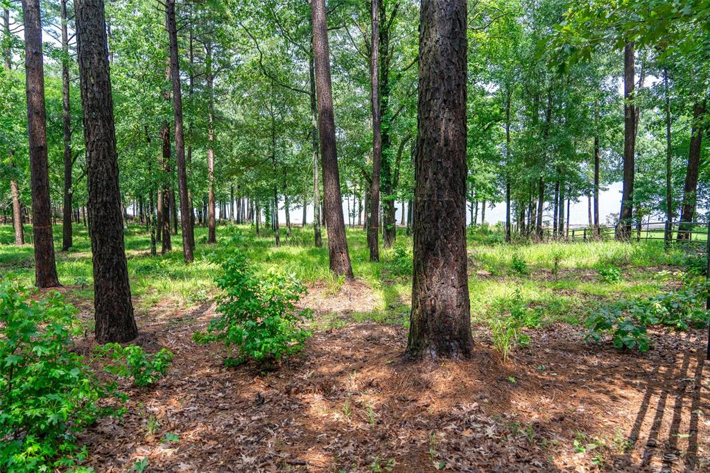 Caddo Point Subdivision - Land