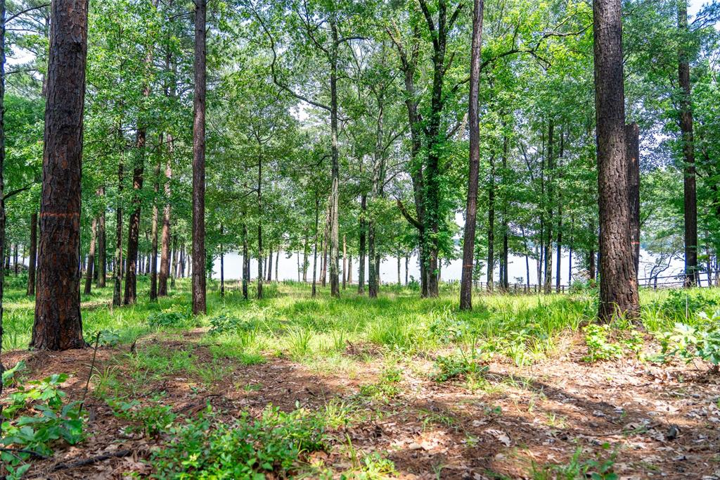 Caddo Point Subdivision - Land