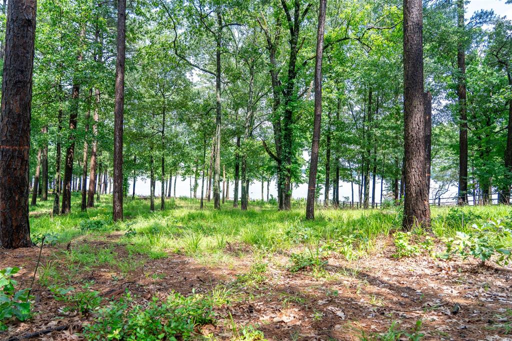 Caddo Point Subdivision - Land