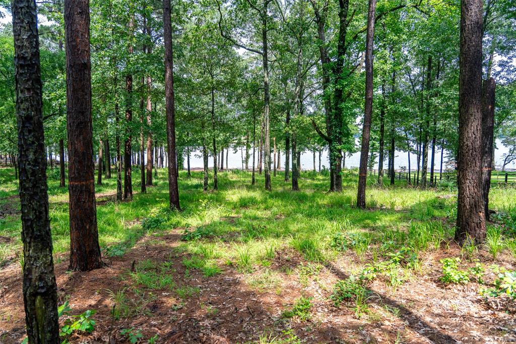 Caddo Point Subdivision - Land