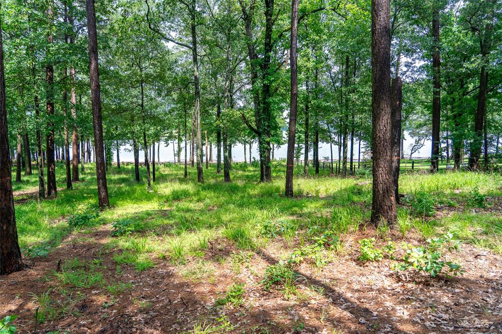 Caddo Point Subdivision - Land