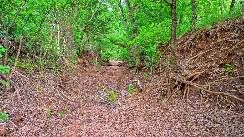 Ravenstone - Land