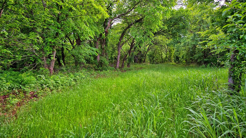 Ravenstone - Land