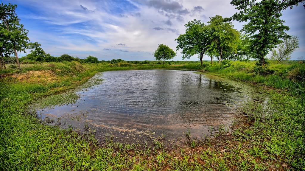 Ravenstone - Land