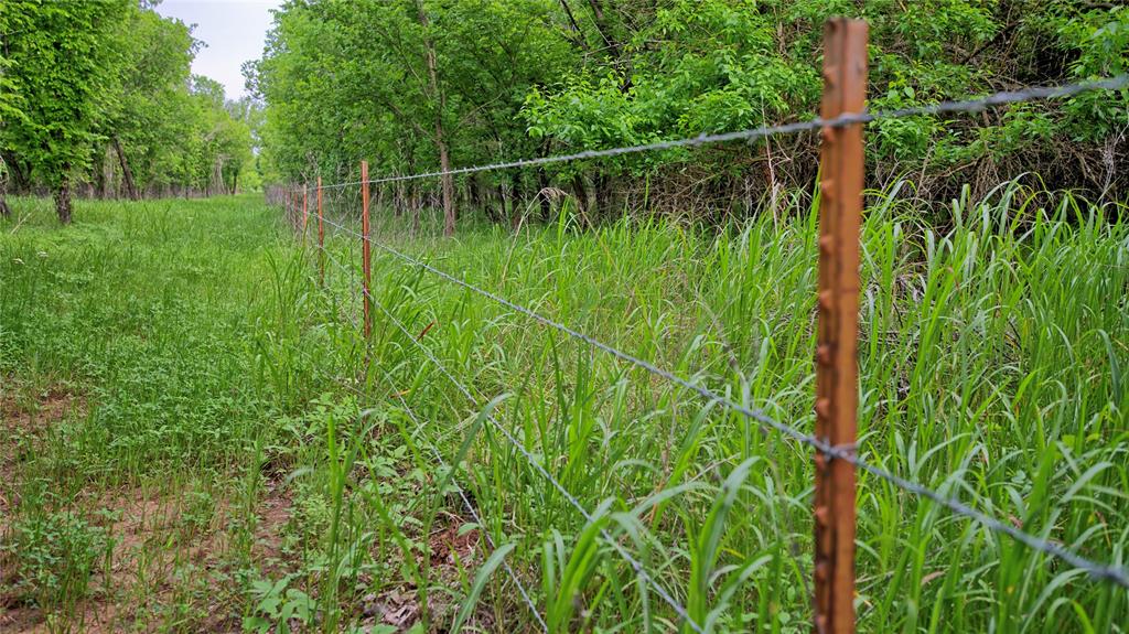 Ravenstone - Land