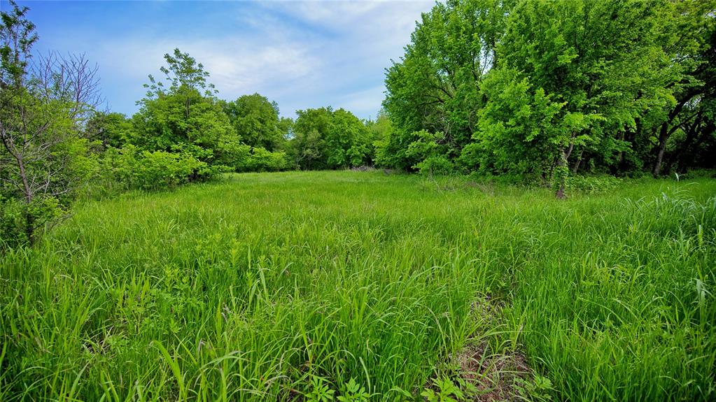 Ravenstone - Land