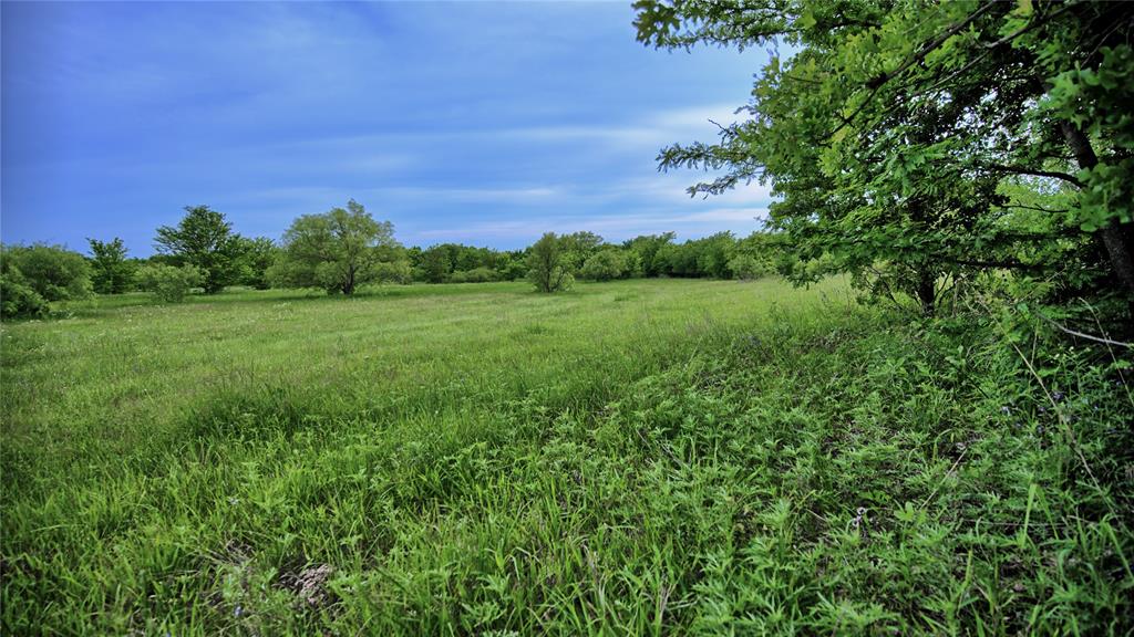 Ravenstone - Land