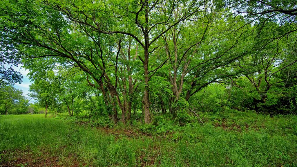 Ravenstone - Land