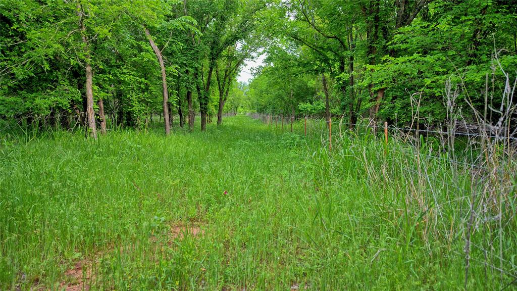 Ravenstone - Land