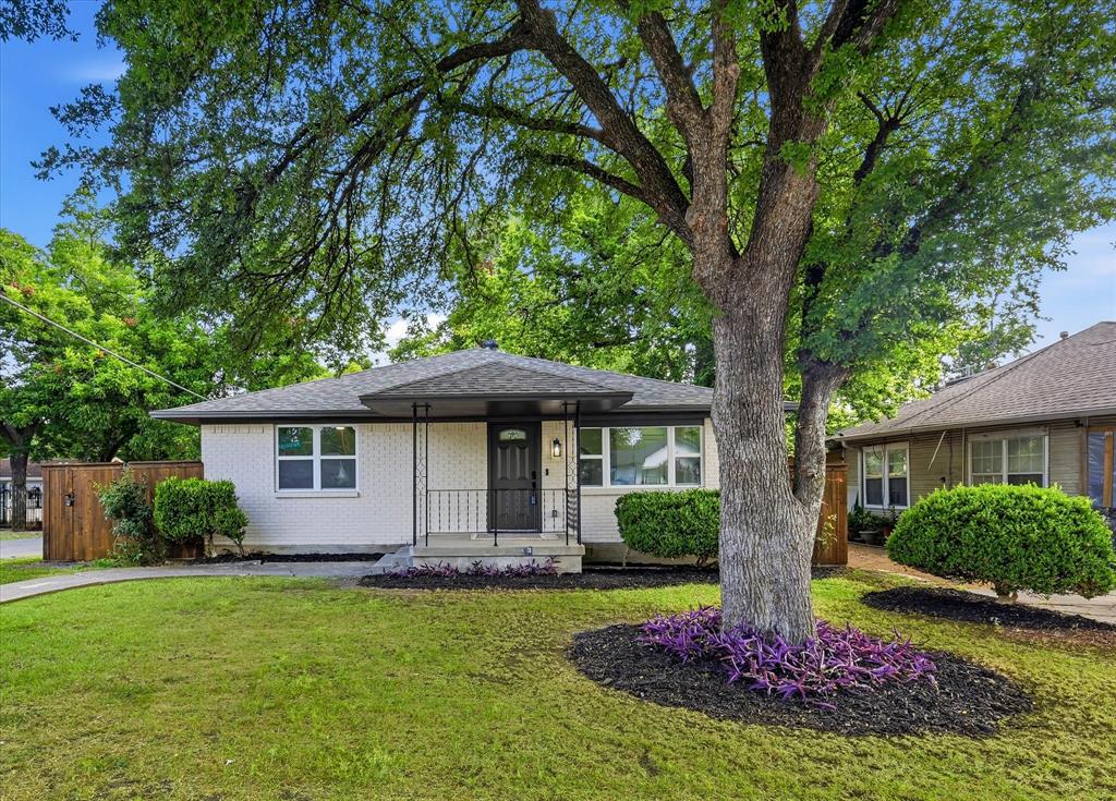 Mount Auburn - Residential