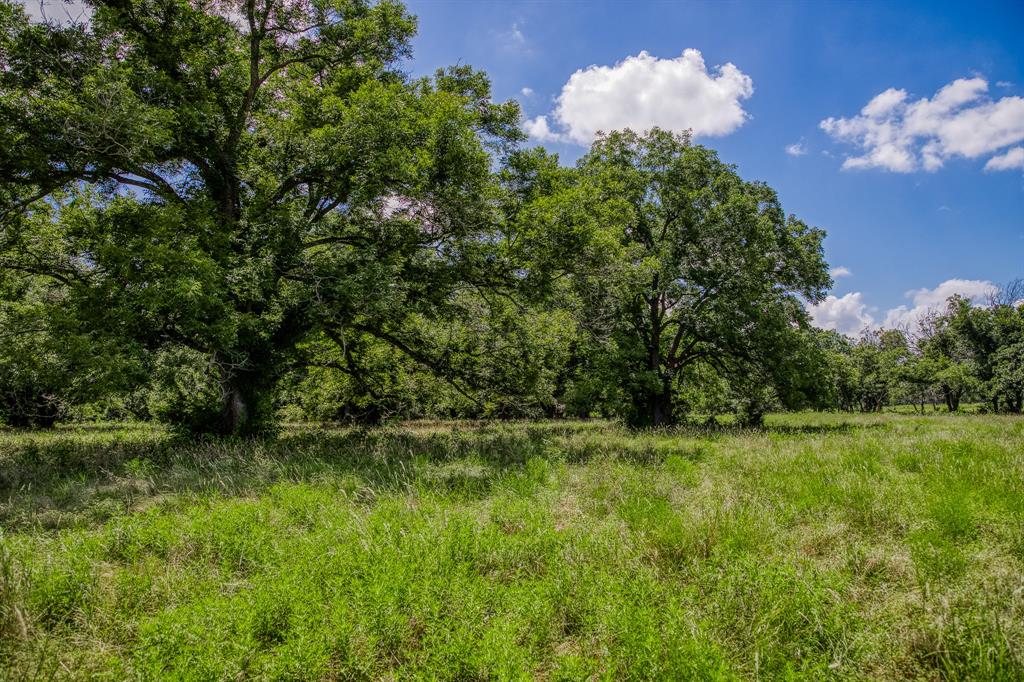 M H Breedlove - Farm