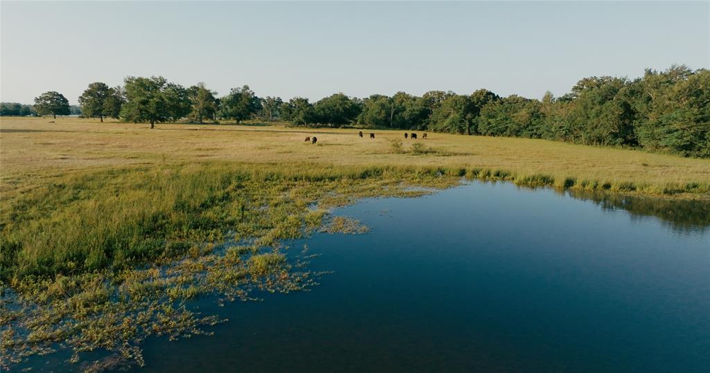 Wolf Creek Ranch - Land