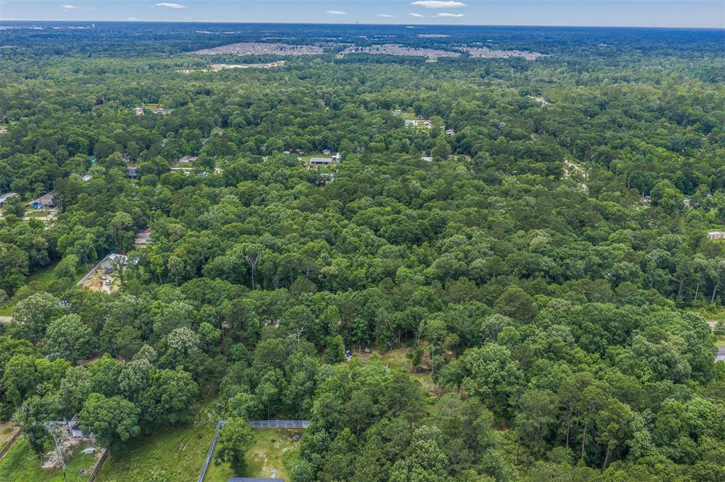 Kings Colony 01 - Land