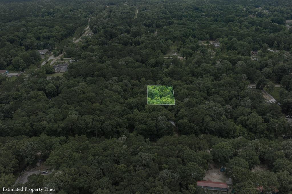 Kings Colony 01 - Land