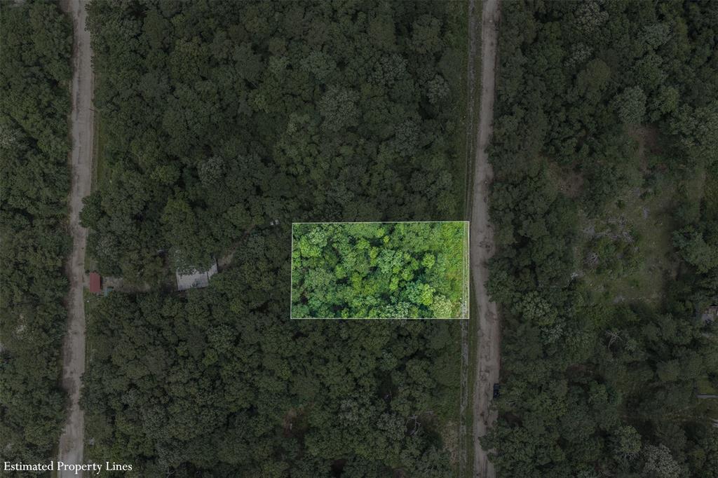 Kings Colony 01 - Land