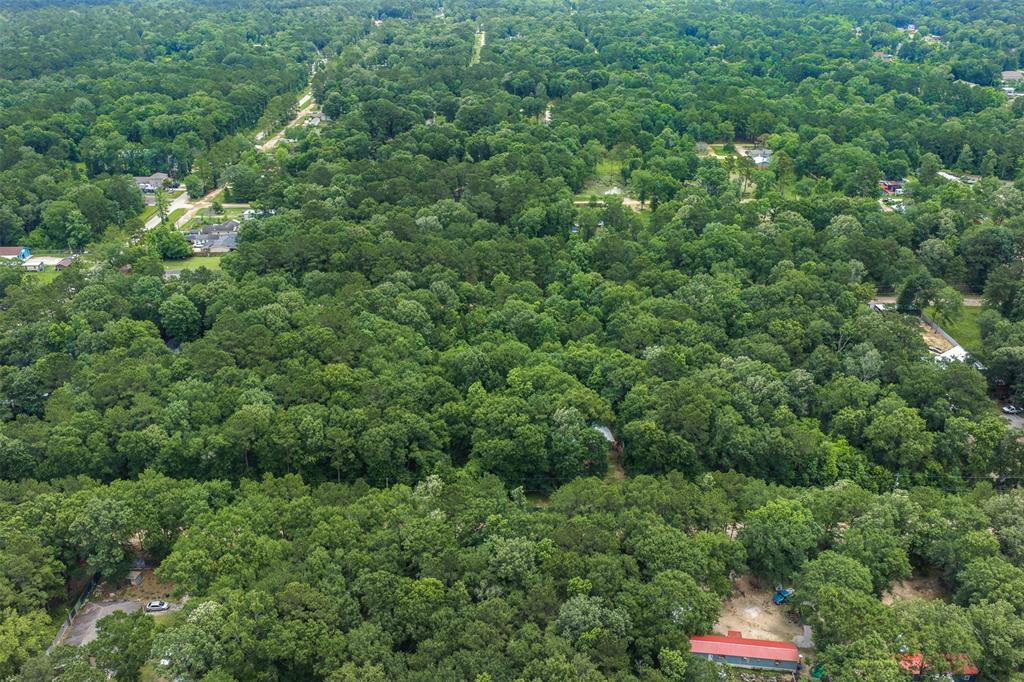 Kings Colony 01 - Land