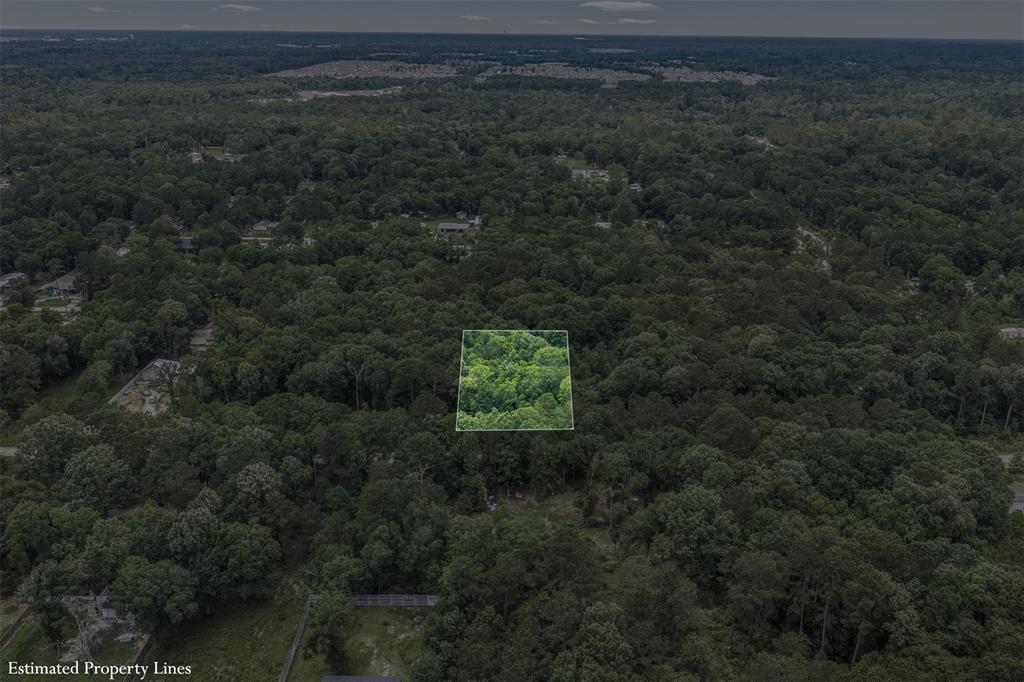 Kings Colony 01 - Land