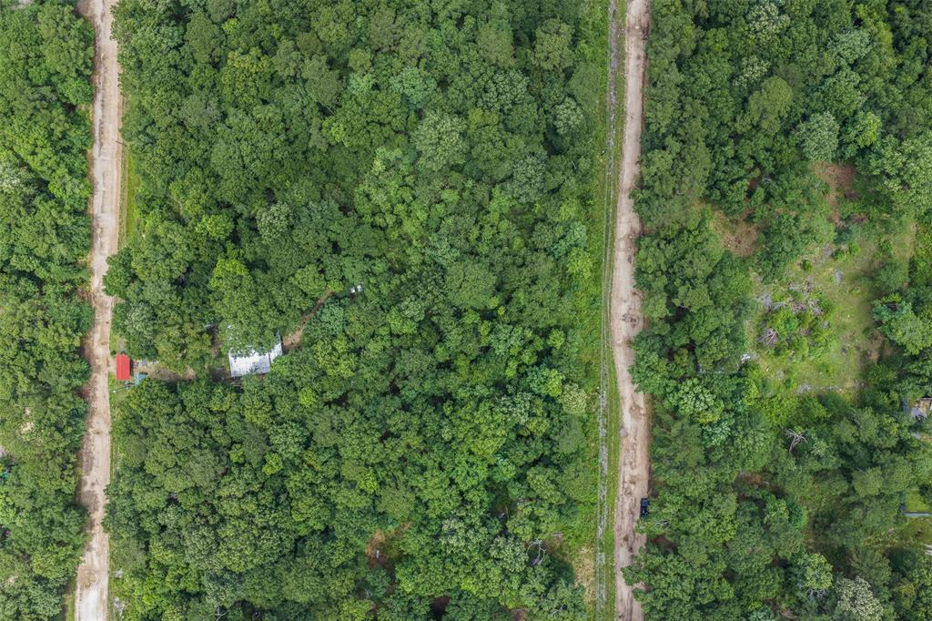 Kings Colony 01 - Land
