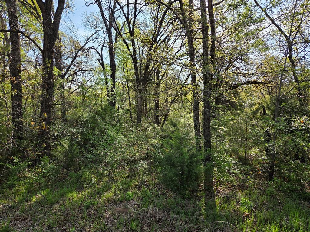 Arrowhead Sub - Land