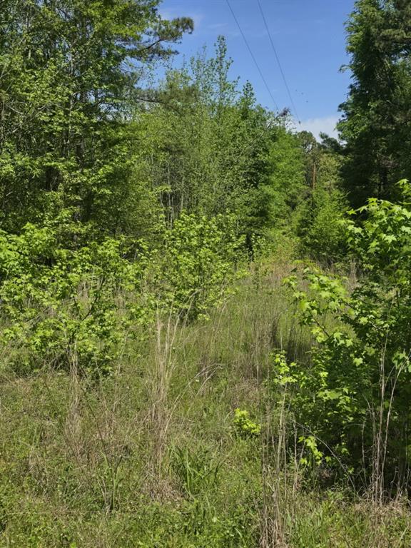 Come see this gorgeous piece of property on County Road 421.  Tyler address, Lindale Schools, build your dream home here!!  Land will need to be cleared as it is wooded, but it is beautiful out here and full of wildlife!  5 acres to be surveyed out of a larger tract, buyer to purchase survey.  The property is on the right corner of County Road 420 and County Road 421.