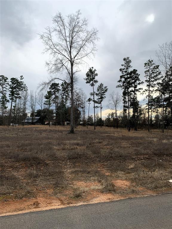 Padgett Place - Land
