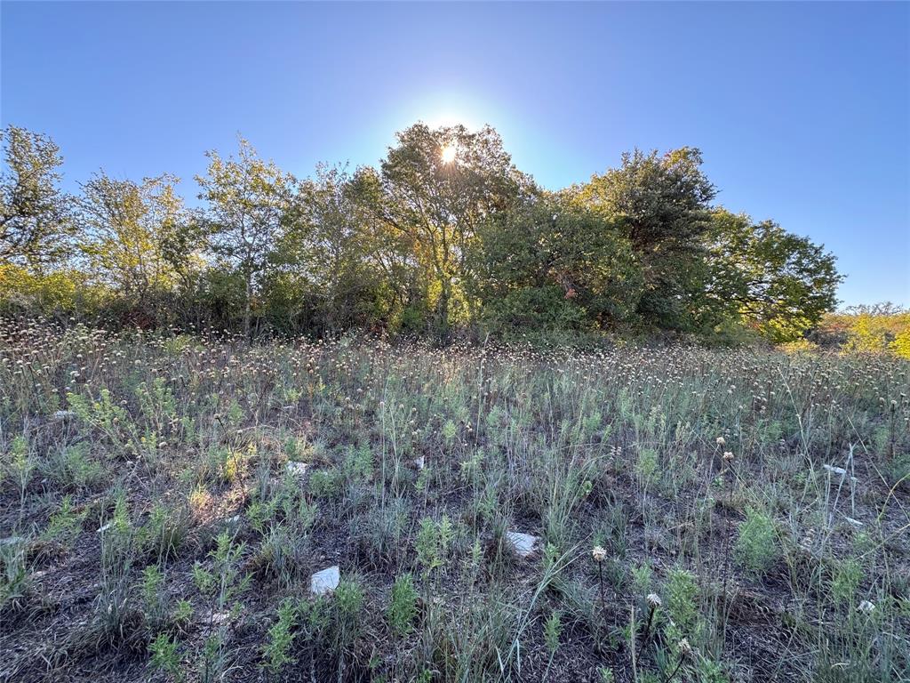 Hard to find small acreage lot with beautiful views of the Texas skies.  Property is fenced 2 sides with a dry weather creek at the back of the property.
Electrical is at the property line. Only 9 miles to Lake Proctor what a bonus. This lot is the most secluded lot in the development.  Want tranquility it's a must see.