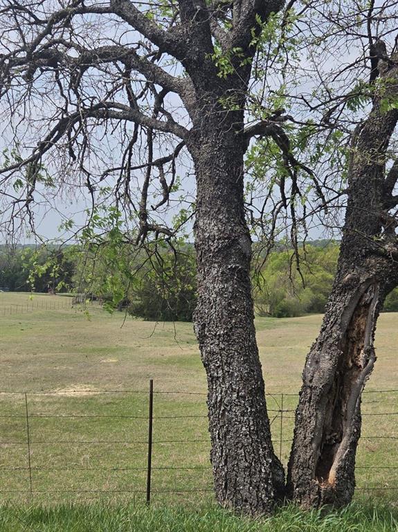 Williamson R M A-G1300 PT 2 Acres - Land