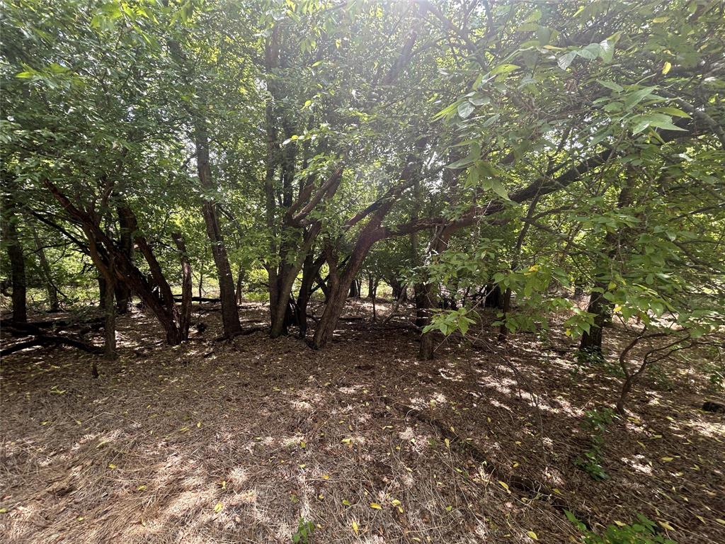 Canyon Creek IV - Land