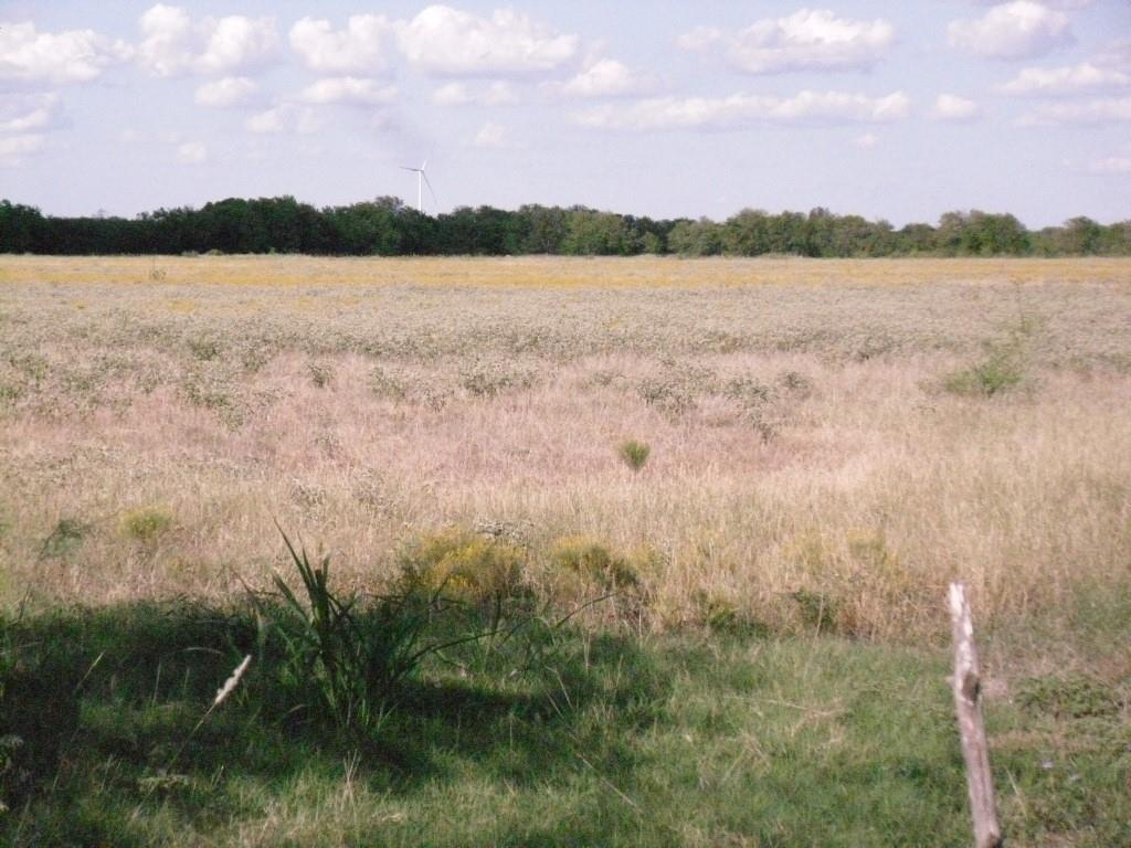 M Mata Survey AB 558 - Land