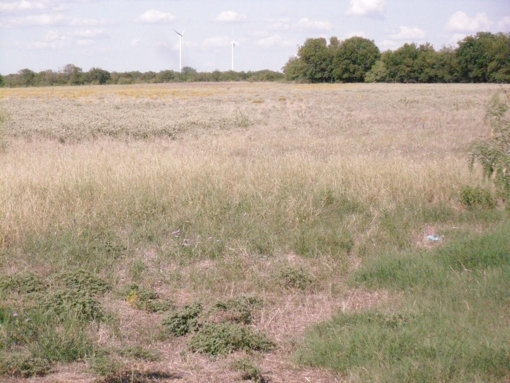 M Mata Survey AB 558 - Land