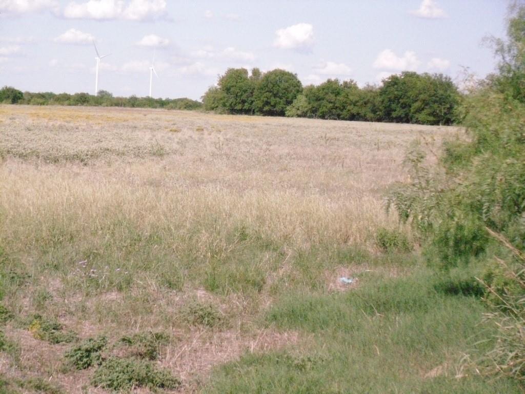 M Mata Survey AB 558 - Land