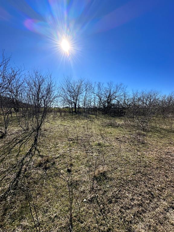 Possibilities GALORE! 81+ acres of untouched land to create your masterpiece. This property could be a beautiful place for your dream home, a hunters paradise or the perfect cattle ranch.  Slight rolling terrain with some trees.  Peaceful and serene.
Less than 10 miles to Hwy 289 and Hagerman National Wildlife and less than 30 minutes to Lake Texoma!
New survey will be available to the buyer.  Aerial photos COMING SOON!
Buyer and buyers agent to verify all information.
