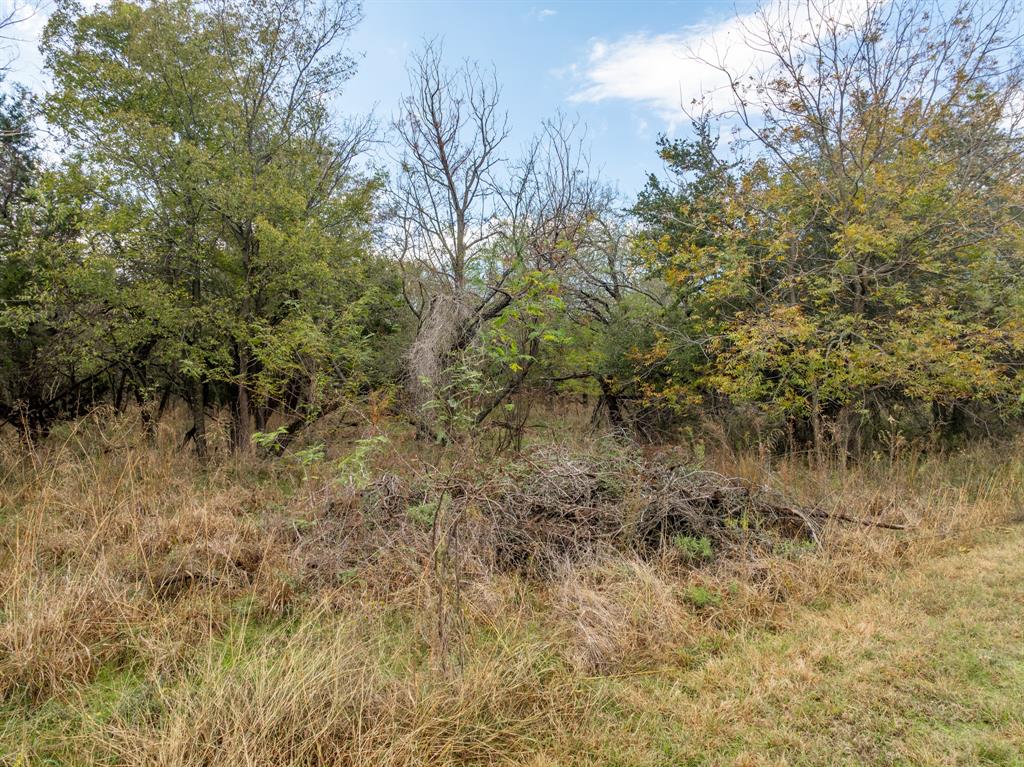 White Bluff #39 - Land