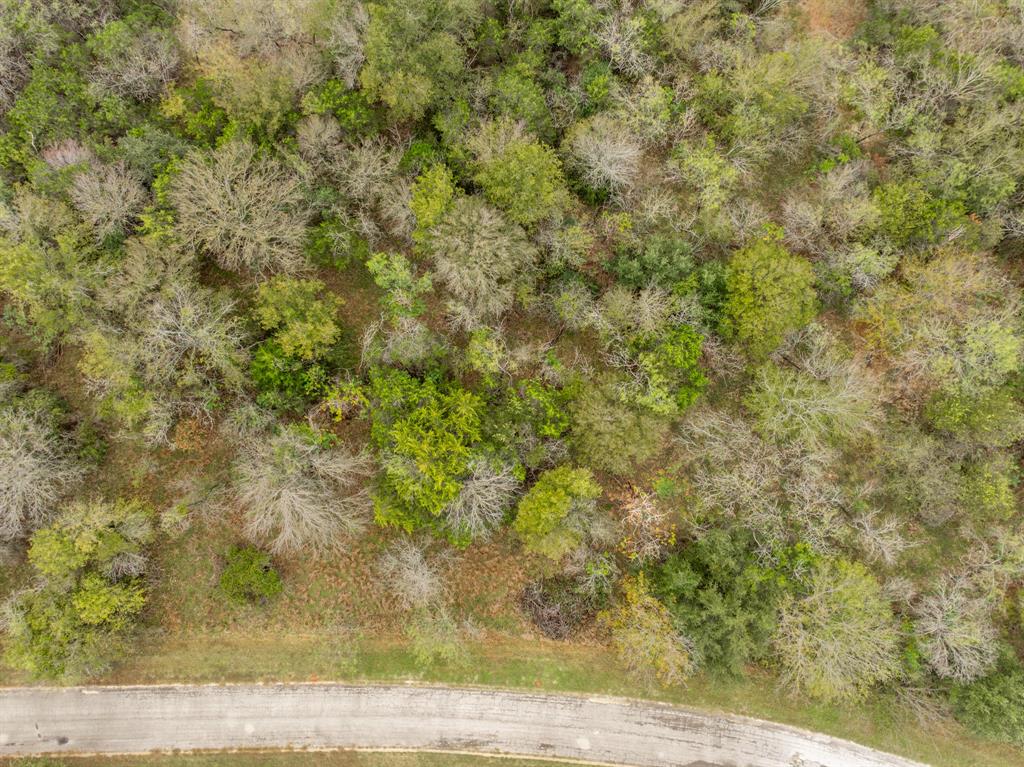 White Bluff #39 - Land