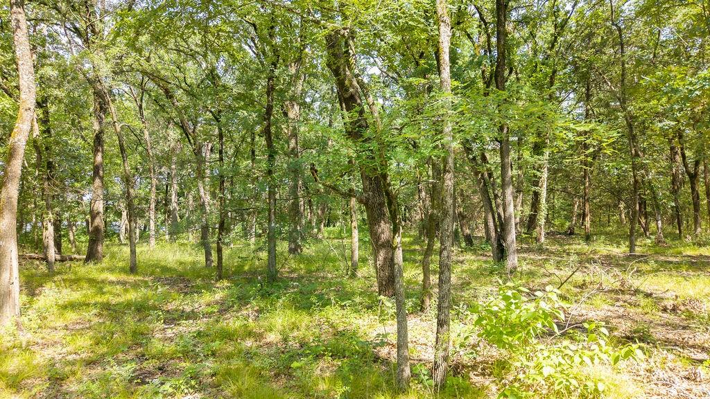 Lakewood Estates Add - Land
