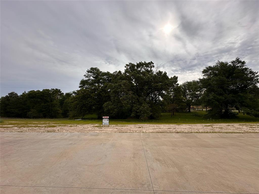 Lots are now available in one of the newest subdivisions in Lindale! Lindsey Ridge offers an exceptional opportunity to build your dream home with city water & electricity already onsite, you can kickstart your home-building journey without delay. Situated just beyond the city limits, lots ensure convenient access to Toll Road 49, 69, & I20, facilitating easy commutes to various destinations. This location maintains its serene ambiance while still being within minutes of downtown Lindale. Zoned within the prestigious LISD enhances the appeal for families seeking top-notch education for their children. Spanning just over half an acre, lot 13 provides ample space to bring your architectural vision to life. Deed restrictions are in place to safeguard the community's aesthetic and uphold its vision, ensuring a cohesive and attractive neighborhood ambiance. Don't miss out on this opportunity to become part of Lindale's newest community.