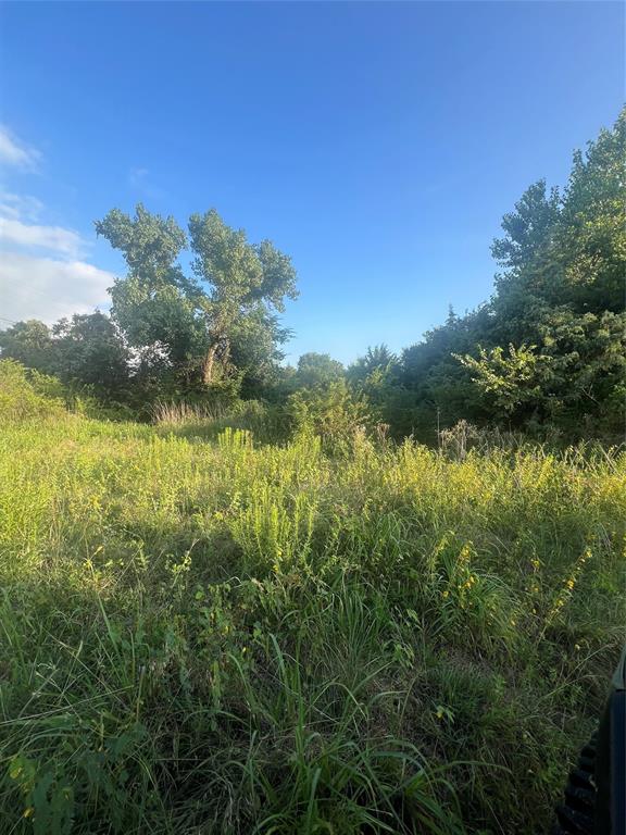 77 acres located just minutes from downtown Decatur offering excellent potential for agricultural, recreational, investment, or future homesite use. Currently utilized for farming and grazing, the property features productive open pasture, quality soil, natural tree lines, and a well-sized tank suitable for livestock and wildlife. Convenient access to major highways and county roads provides easy accessibility while maintaining a private rural setting. Ideal for expanding a ranching operation, building a homestead, or securing land in growing Wise County.
Owner Finance only, 18%-20%, no early payoff