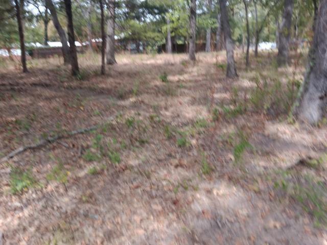 Brinwood Shores Add Sec A - Land