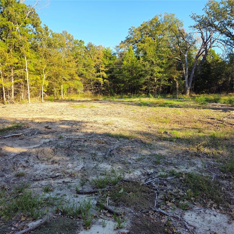Your East Texas dream awaits! Build your future home on this large residential lot with all the perks of a resort lifestyle. As part of a gated community on Cedar Creek Lake, you'll have access to boating, fishing, tennis, and a swimming pool. The location offers a perfect balance of peaceful lakeside living and convenient access to nearby towns like Malakoff, Seven Points, and Dallas. The lot has been cleared and has been assigned an address.  Owner purchased a new survey for future buyer.