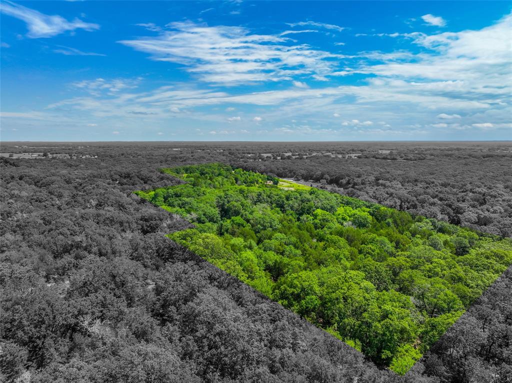 This land tract in Greenville is part of a 16 acre plat, the second plat is 5.33 acres. Nestled in a peaceful, natural setting, this stunning 11.67 acre wooded lot offers the perfect blend of privacy, beauty, and opportunity. Towering mature trees create a serene canopy, providing shade, seclusion, and a picturesque landscape in every direction. Whether you're looking to build your dream home, a weekend retreat, or simply invest in land, this property delivers a rare sense of tranquility and space.