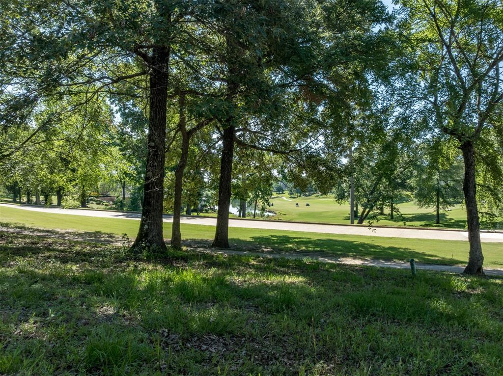 Eagles Bluff - Land