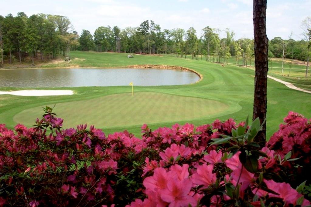 Eagles Bluff - Land