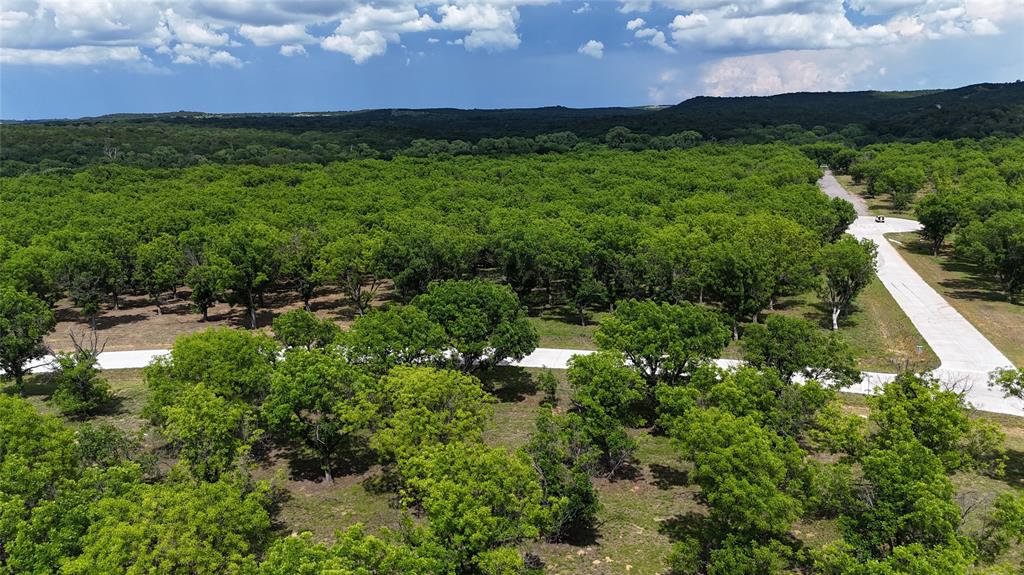 Pecan Plantation - Land
