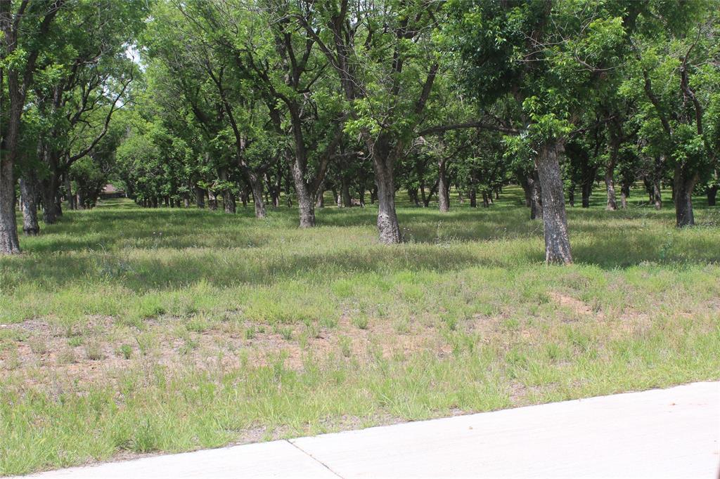 Pecan Plantation - Land