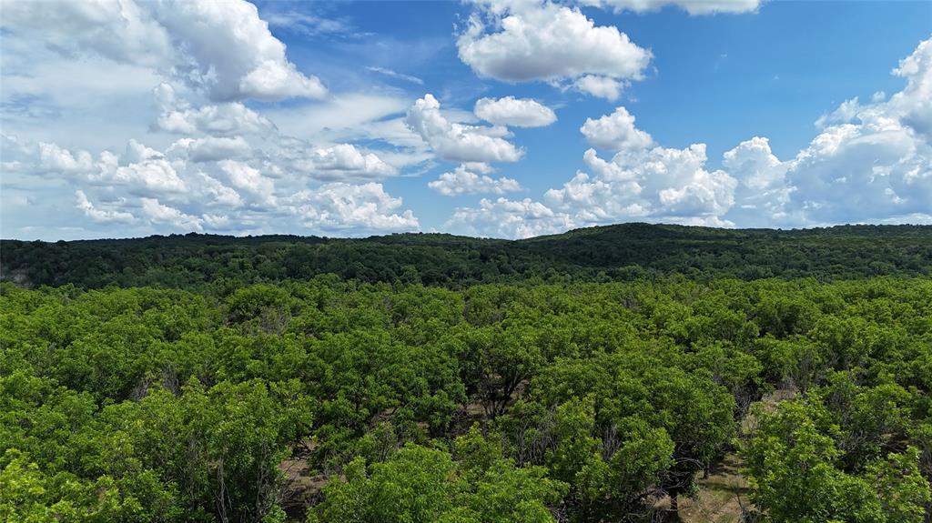 Pecan Plantation - Land