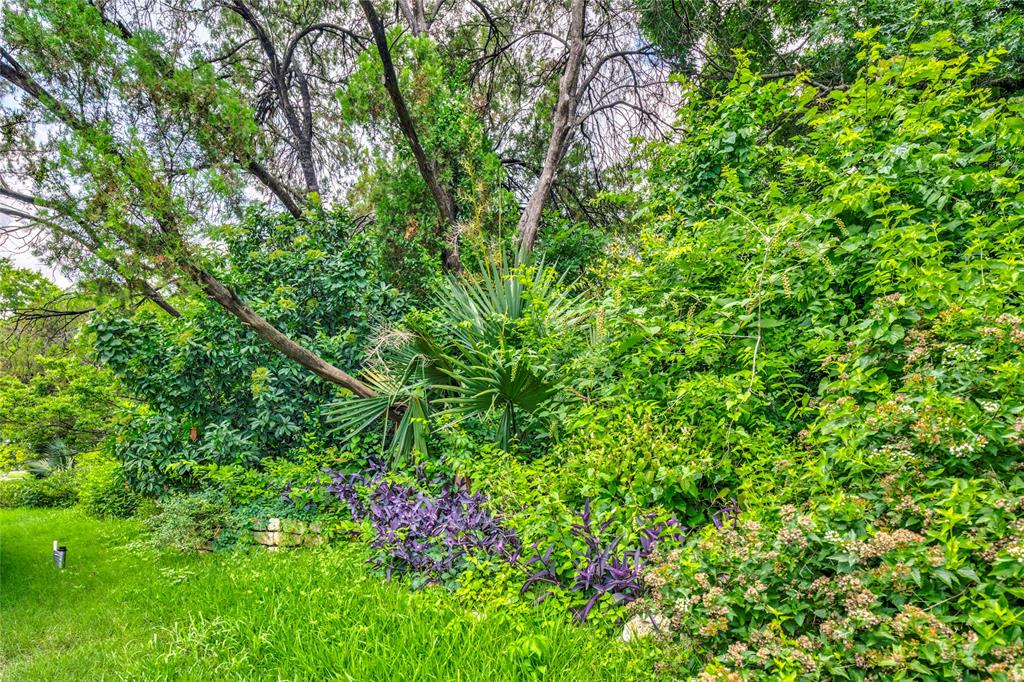Casa Linda Estates - Land