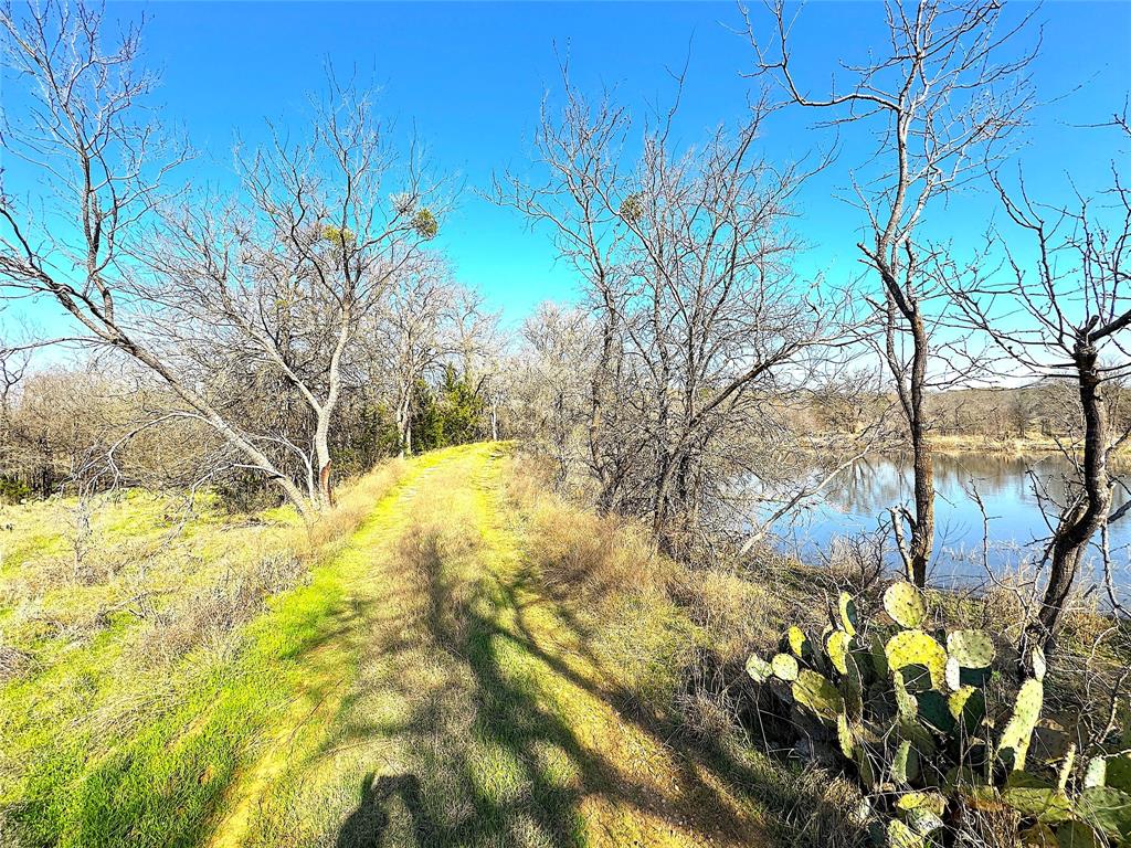 RARE 81 ACRES IN SOUGHT AFTER BROCK I.S.D. WITH ROAD FRONTAGE ON CONSOLATION DR. AND LAZY BEND RD! This tract of land is an incredible piece of property with a multitude of uses whether you are looking to build your personal ranch or looking for a development opportunity. This ranch property has 3 stock tanks with a winding creek system that connects these amazing water features. Property is fenced and crossfenced with an abundance of mature oaks and open pastures that would be ideal for grazing or farming applications. The wildlife is abundant with great hunting including whitetail deer, turkey, dove and more. The history is rich with an old hand dug water well and family cemetery on the property. Don't miss an opportunity to own a very rare piece of property that has so much to offer!
